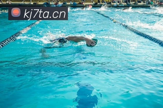 乐鱼体育官网登陆入口发展历程